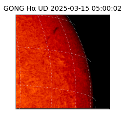 gong - 2025-03-15T05:00:02