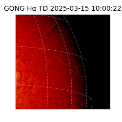 gong - 2025-03-15T10:00:22