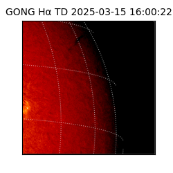 gong - 2025-03-15T16:00:22