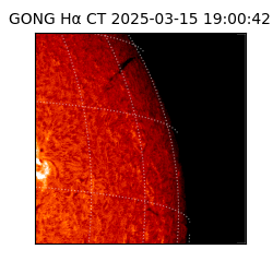 gong - 2025-03-15T19:00:42