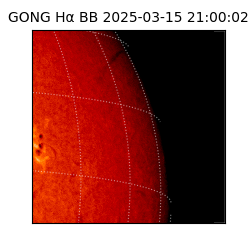 gong - 2025-03-15T21:00:02