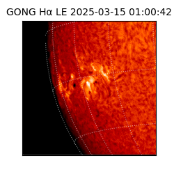 gong - 2025-03-15T01:00:42