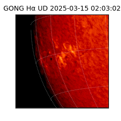 gong - 2025-03-15T02:03:02