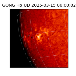 gong - 2025-03-15T06:00:02