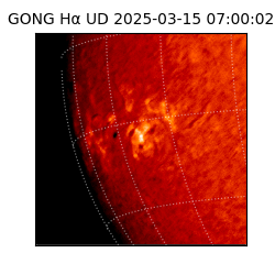 gong - 2025-03-15T07:00:02