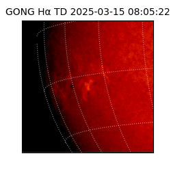 gong - 2025-03-15T08:05:22