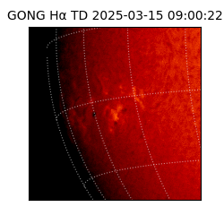 gong - 2025-03-15T09:00:22