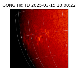 gong - 2025-03-15T10:00:22