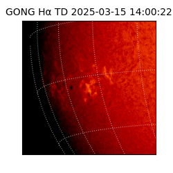 gong - 2025-03-15T14:00:22