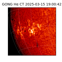gong - 2025-03-15T19:00:42