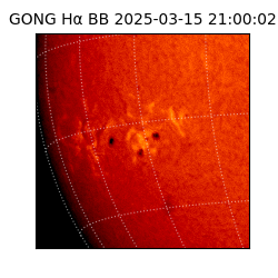 gong - 2025-03-15T21:00:02