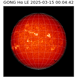 gong - 2025-03-15T00:04:42