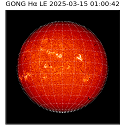gong - 2025-03-15T01:00:42