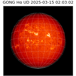 gong - 2025-03-15T02:03:02