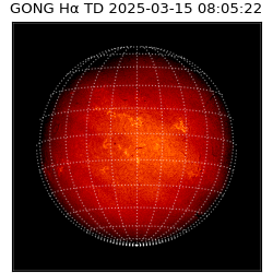 gong - 2025-03-15T08:05:22
