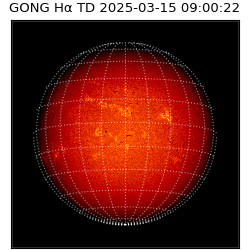 gong - 2025-03-15T09:00:22