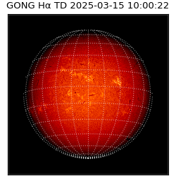 gong - 2025-03-15T10:00:22