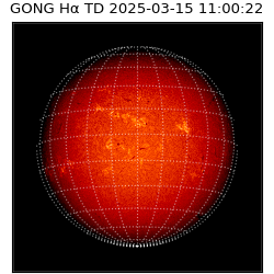 gong - 2025-03-15T11:00:22