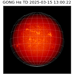 gong - 2025-03-15T13:00:22