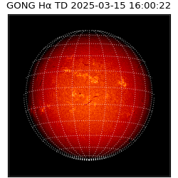 gong - 2025-03-15T16:00:22