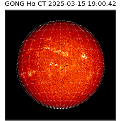 gong - 2025-03-15T19:00:42