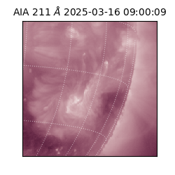 saia - 2025-03-16T09:00:09.626000