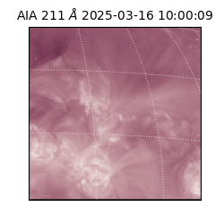 saia - 2025-03-16T10:00:09.626000