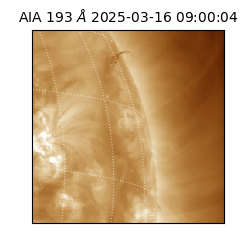saia - 2025-03-16T09:00:04.843000