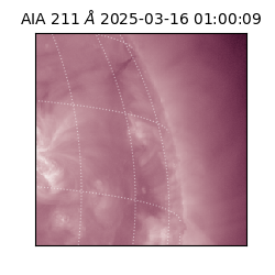 saia - 2025-03-16T01:00:09.625000