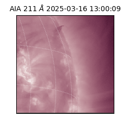 saia - 2025-03-16T13:00:09.622000