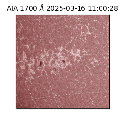 saia - 2025-03-16T11:00:28.718000