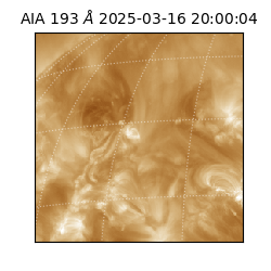 saia - 2025-03-16T20:00:04.843000