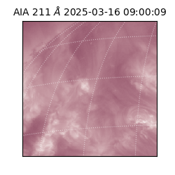 saia - 2025-03-16T09:00:09.626000