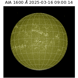 saia - 2025-03-16T09:00:14.126000