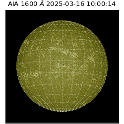 saia - 2025-03-16T10:00:14.126000