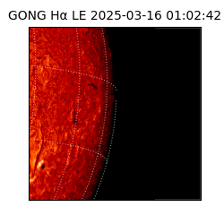 gong - 2025-03-16T01:02:42