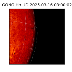 gong - 2025-03-16T03:00:02