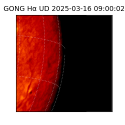 gong - 2025-03-16T09:00:02