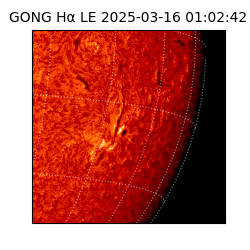 gong - 2025-03-16T01:02:42