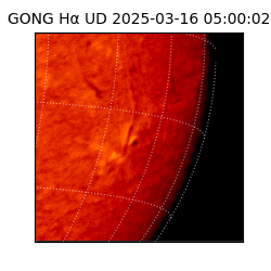 gong - 2025-03-16T05:00:02