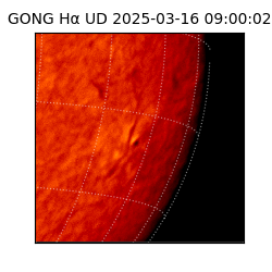 gong - 2025-03-16T09:00:02