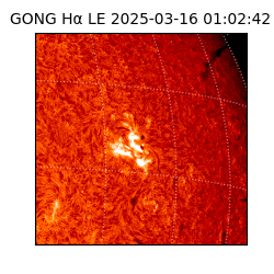 gong - 2025-03-16T01:02:42