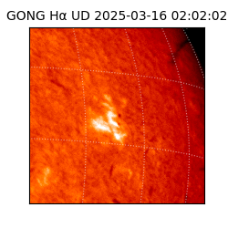 gong - 2025-03-16T02:02:02