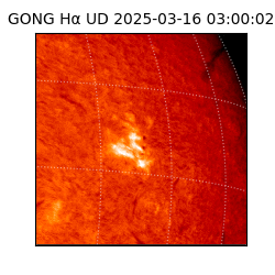 gong - 2025-03-16T03:00:02