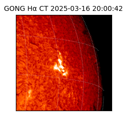 gong - 2025-03-16T20:00:42
