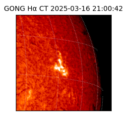 gong - 2025-03-16T21:00:42