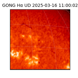 gong - 2025-03-16T11:00:02