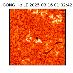 gong - 2025-03-16T01:02:42