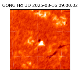 gong - 2025-03-16T09:00:02