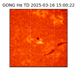 gong - 2025-03-16T15:00:22